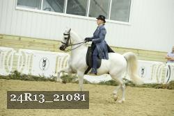 24R13_21081 proof