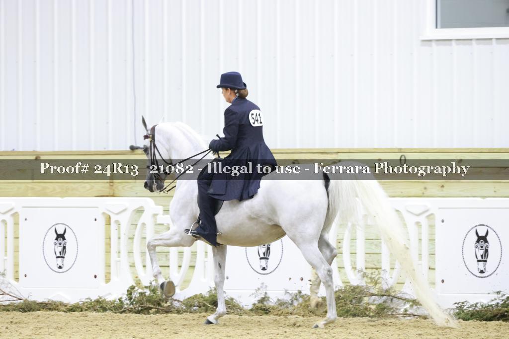 Proof 24R13_21082