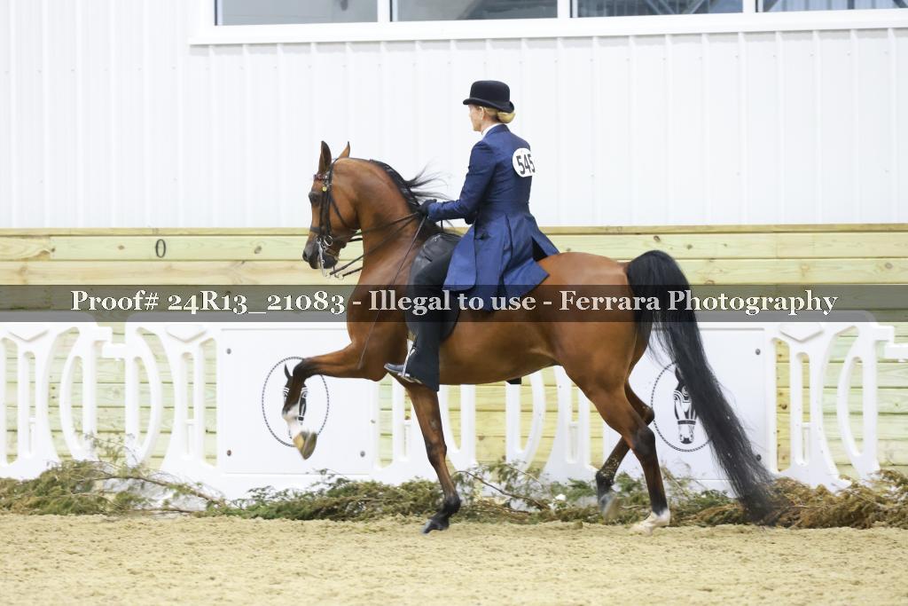 Proof 24R13_21083