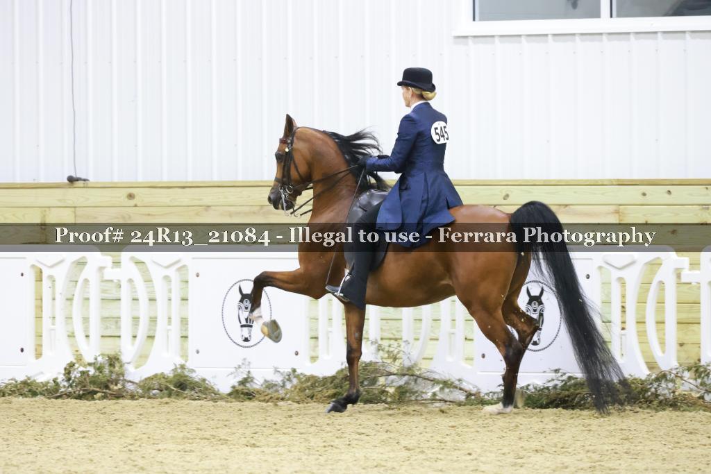 Proof 24R13_21084
