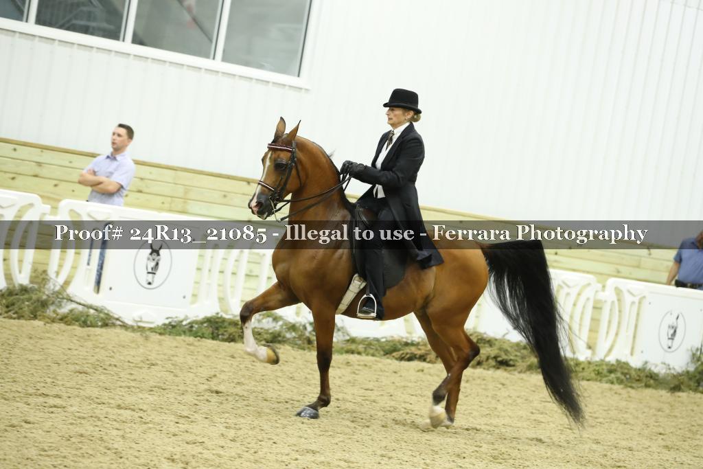 Proof 24R13_21085