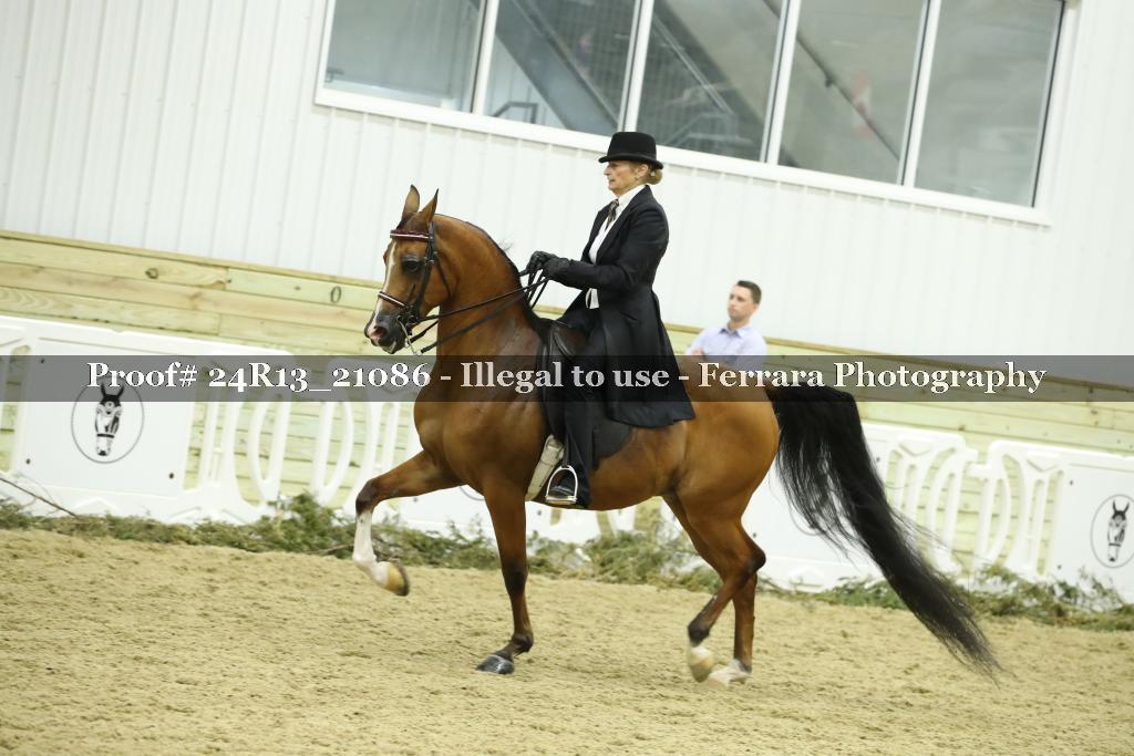 Proof 24R13_21086