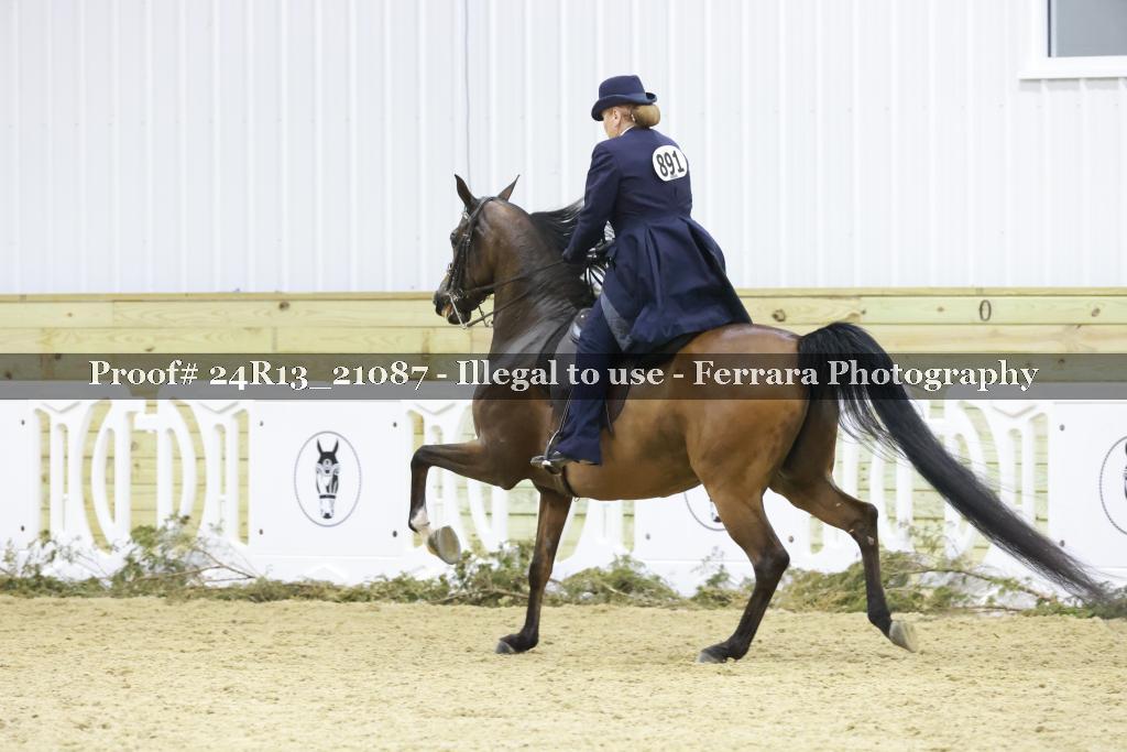 Proof 24R13_21087