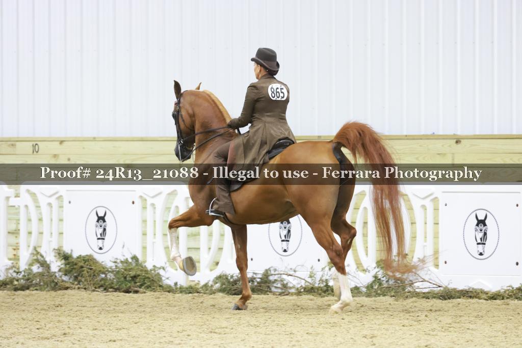 Proof 24R13_21088