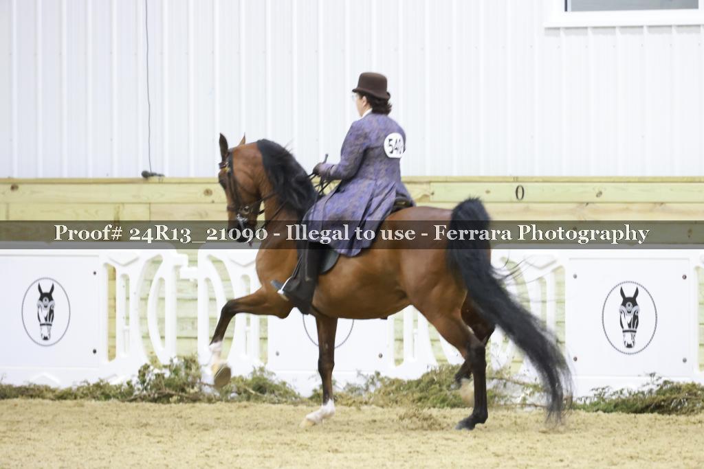 Proof 24R13_21090