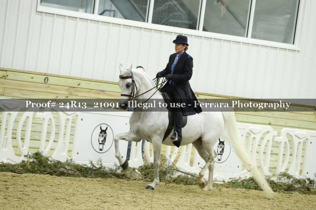 Proof 24R13_21091