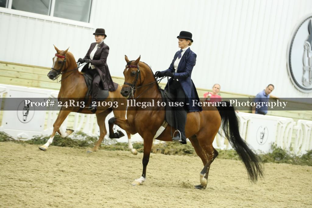 Proof 24R13_21093