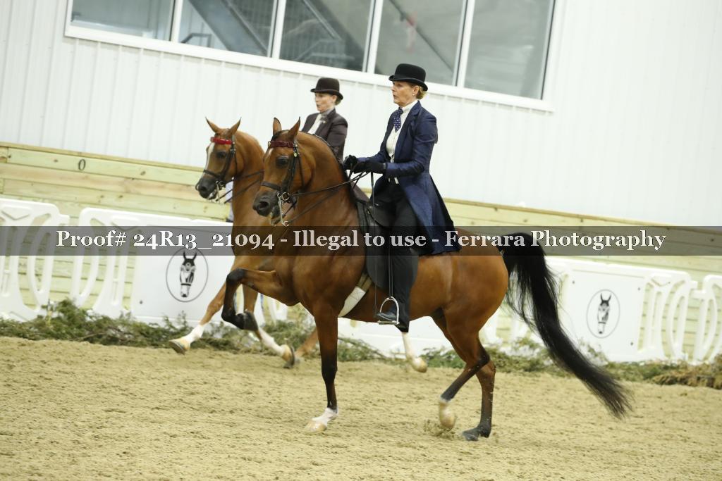 Proof 24R13_21094