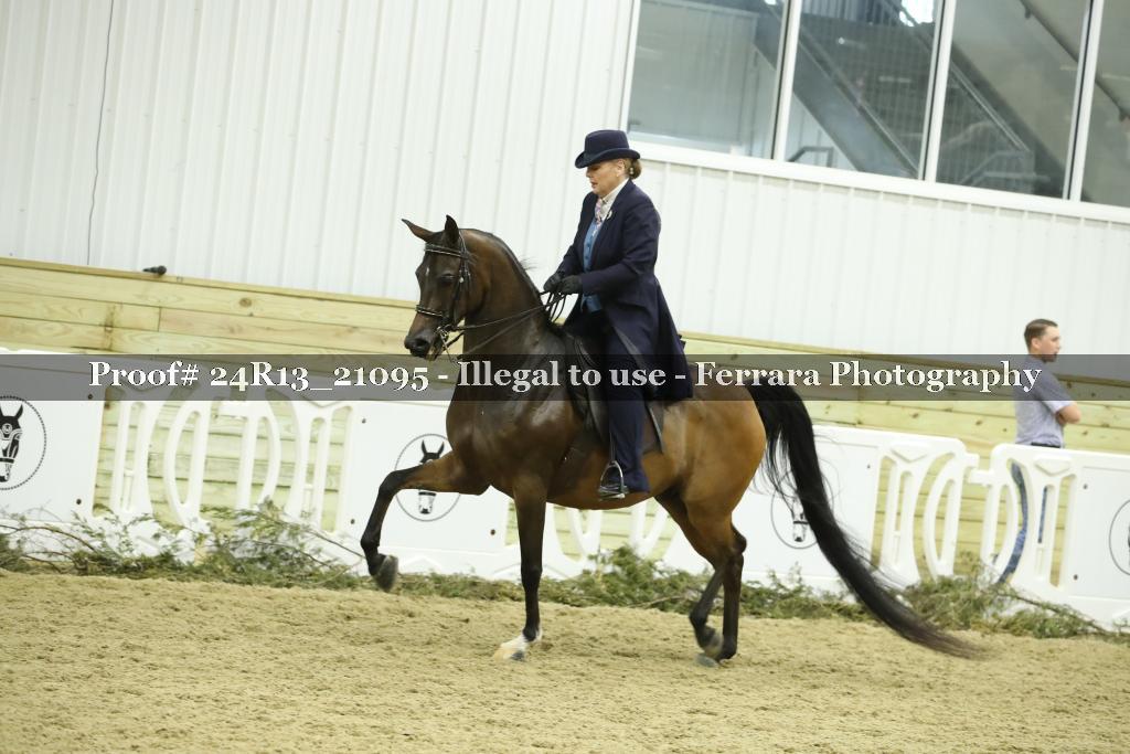 Proof 24R13_21095