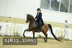 24R13_21095 proof