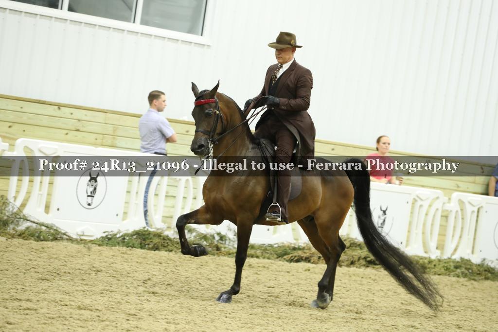 Proof 24R13_21096