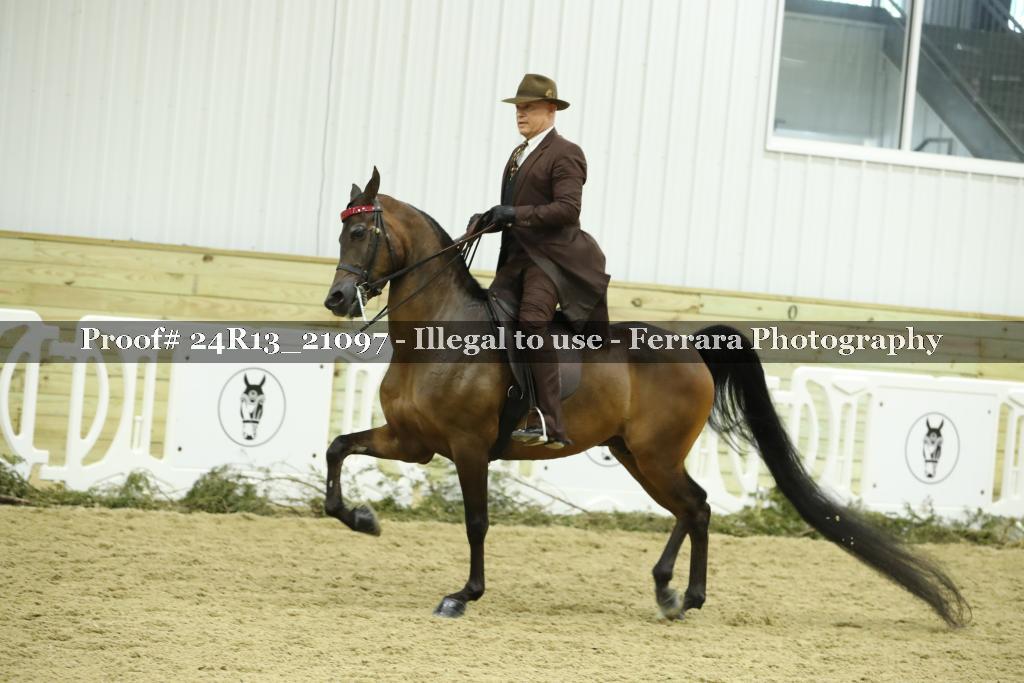 Proof 24R13_21097