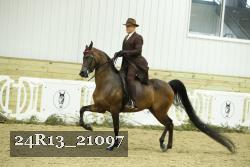 24R13_21097 proof