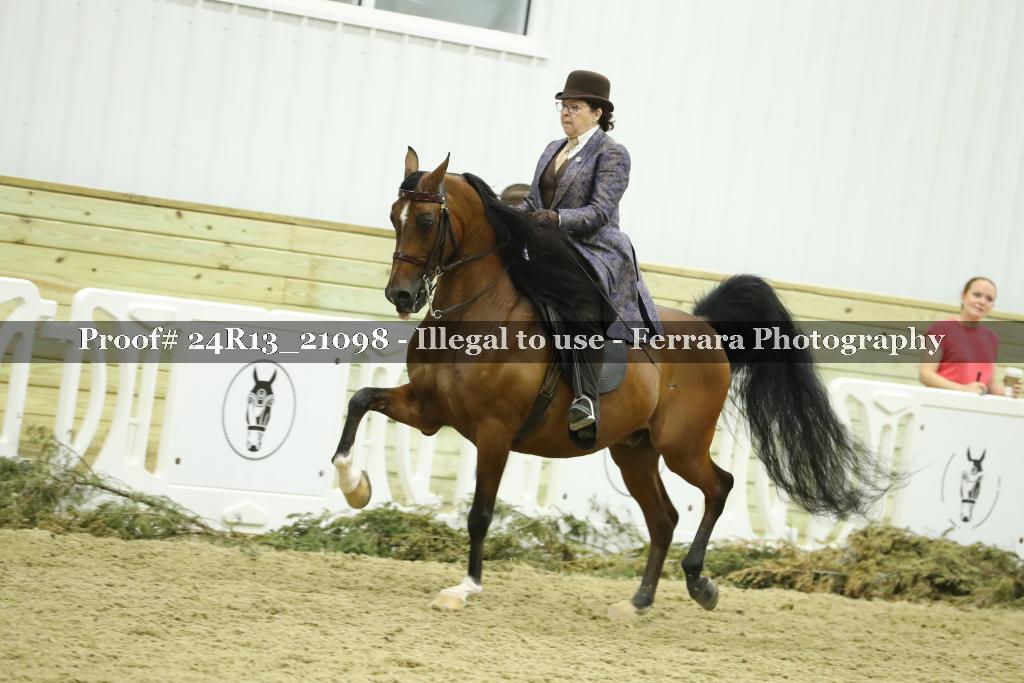 Proof 24R13_21098