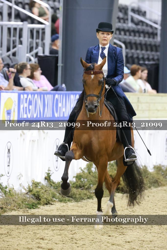 Proof 24R13_21099