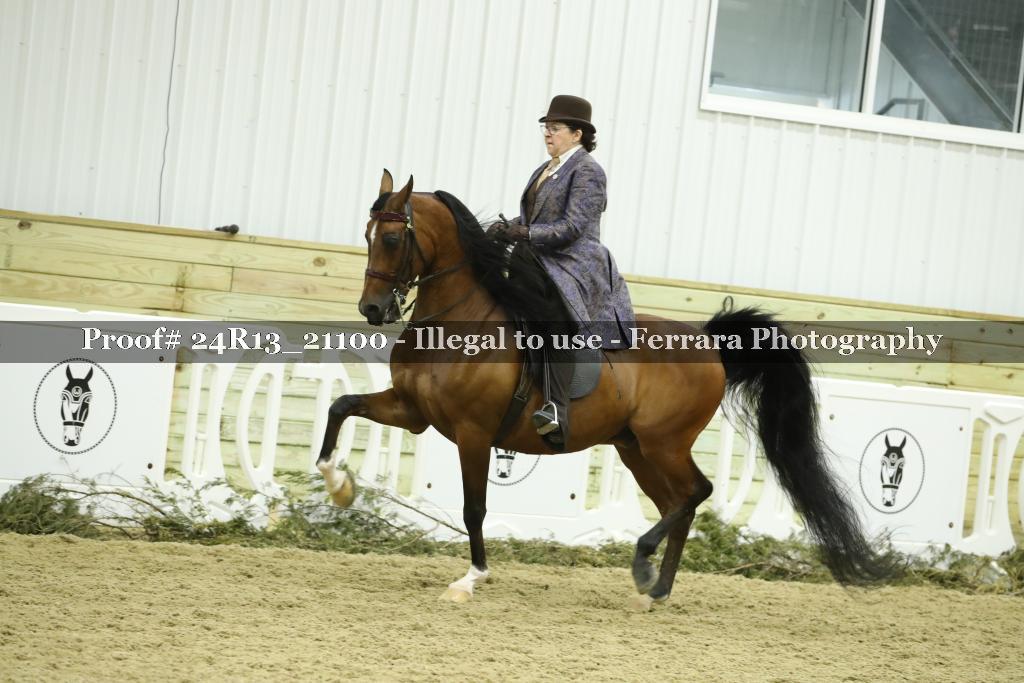 Proof 24R13_21100