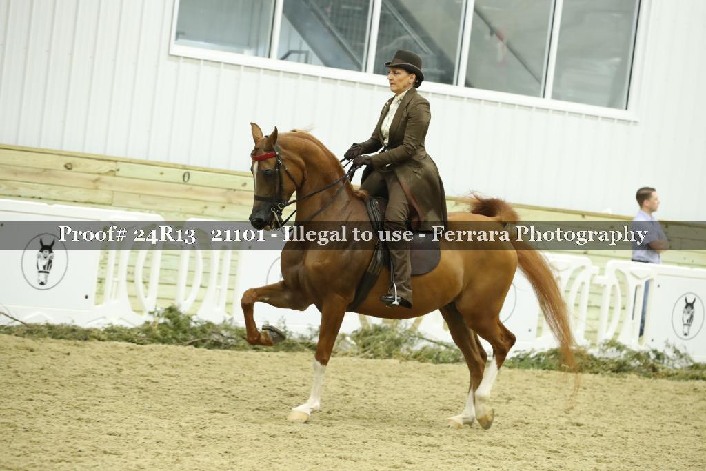 Proof 24R13_21101