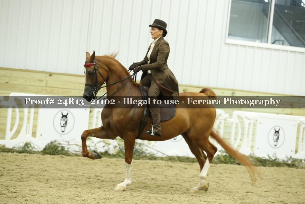 Proof 24R13_21102