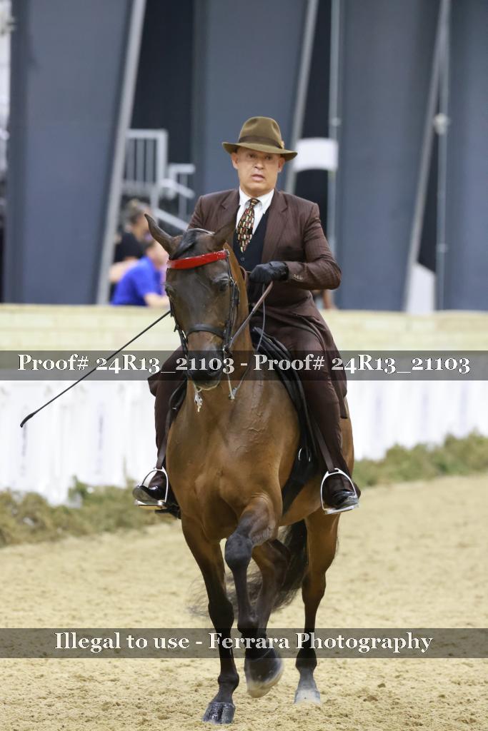 Proof 24R13_21103