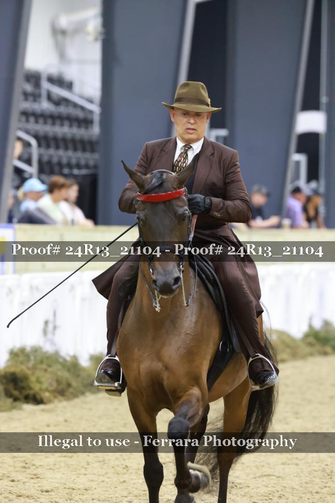 Proof 24R13_21104