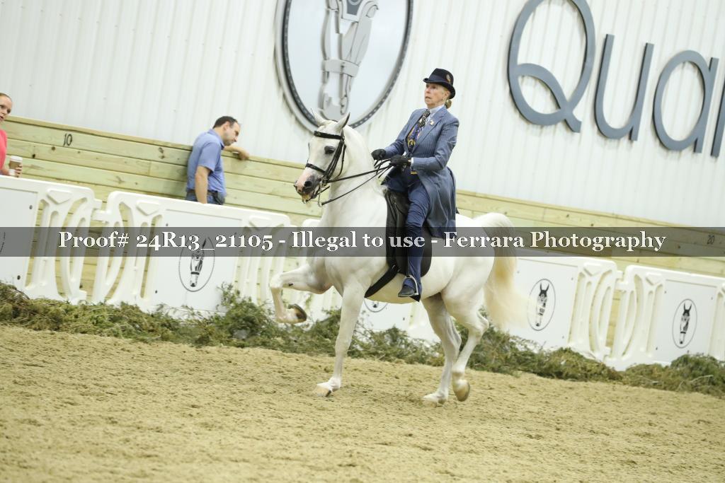 Proof 24R13_21105