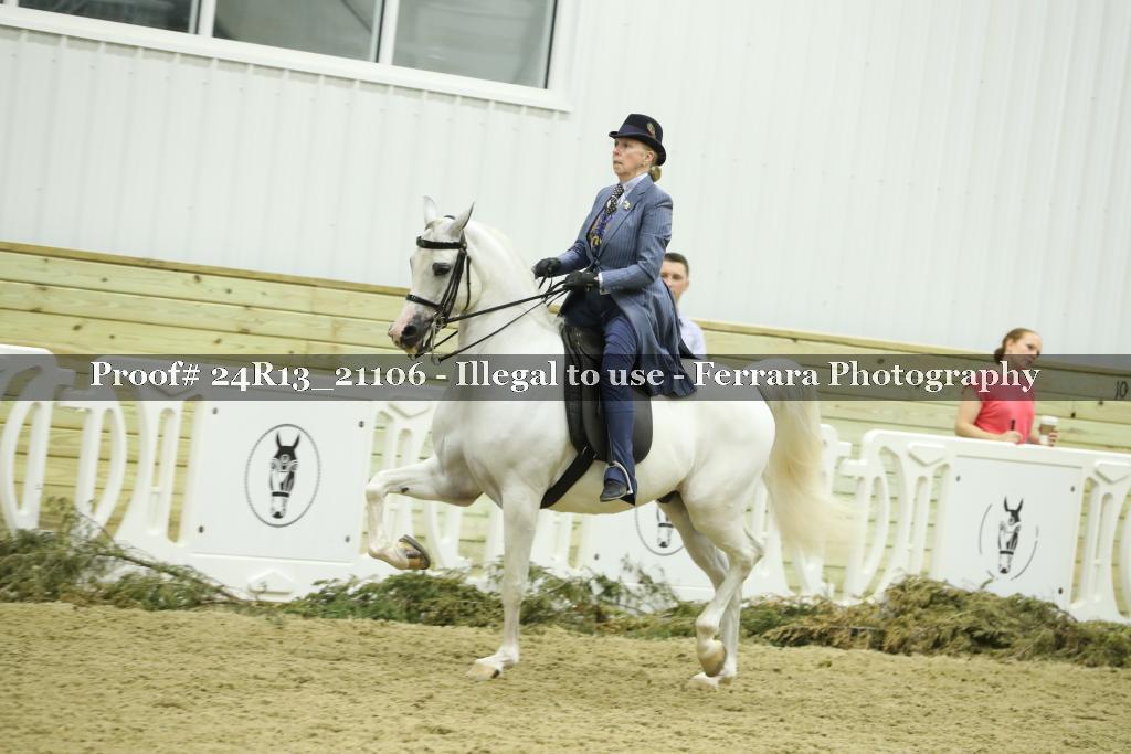 Proof 24R13_21106