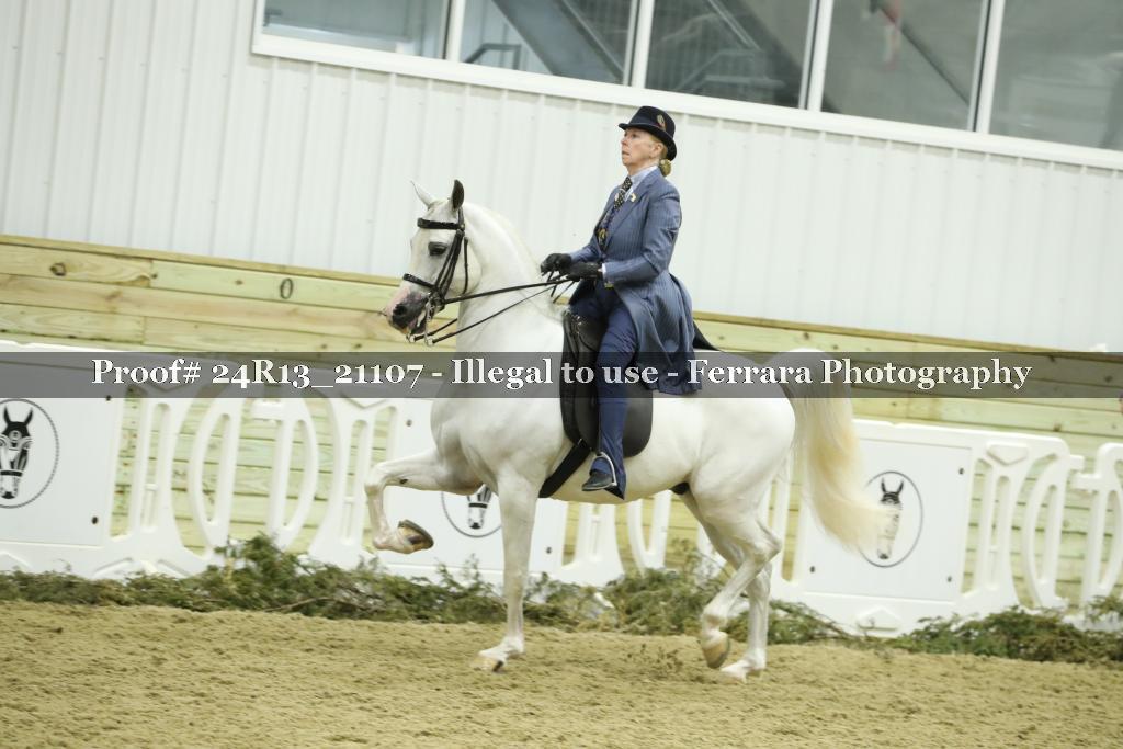 Proof 24R13_21107