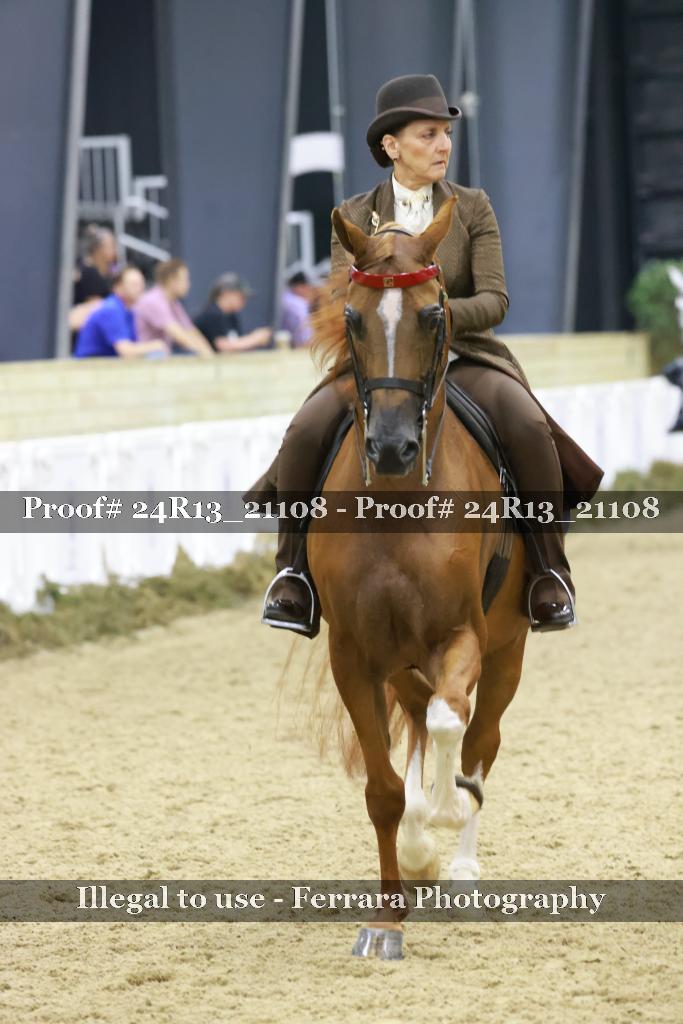 Proof 24R13_21108