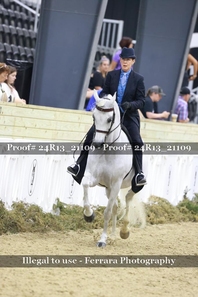 Proof 24R13_21109