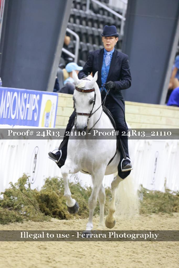 Proof 24R13_21110