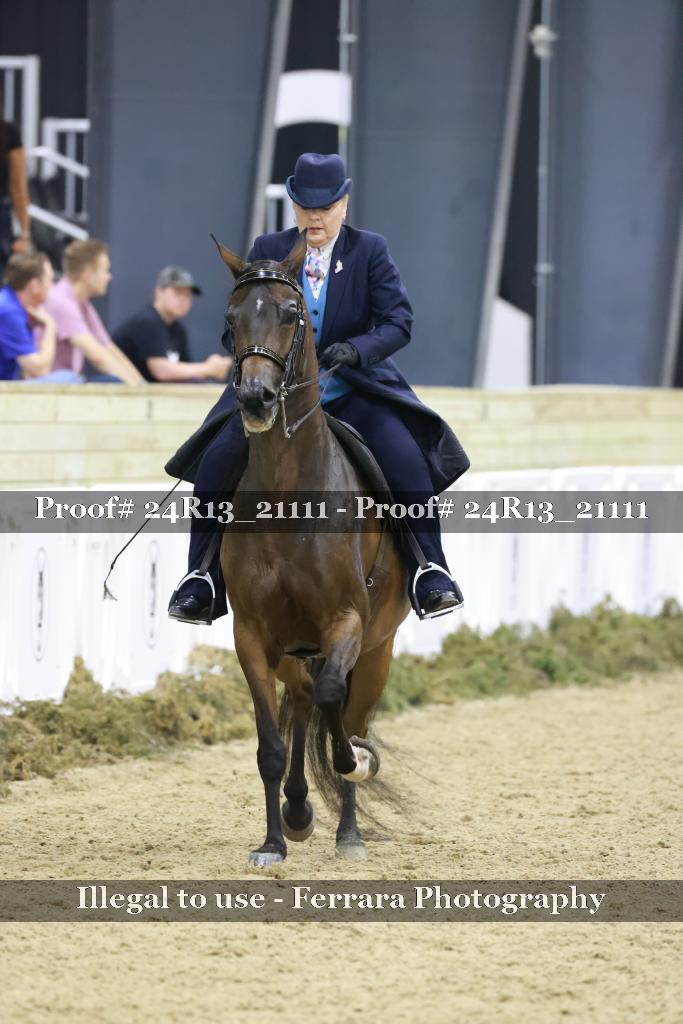 Proof 24R13_21111