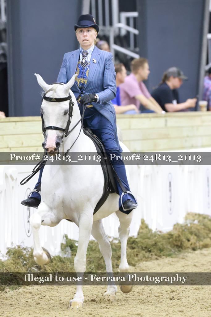 Proof 24R13_21113