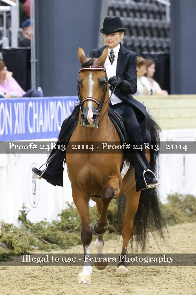 Proof 24R13_21114
