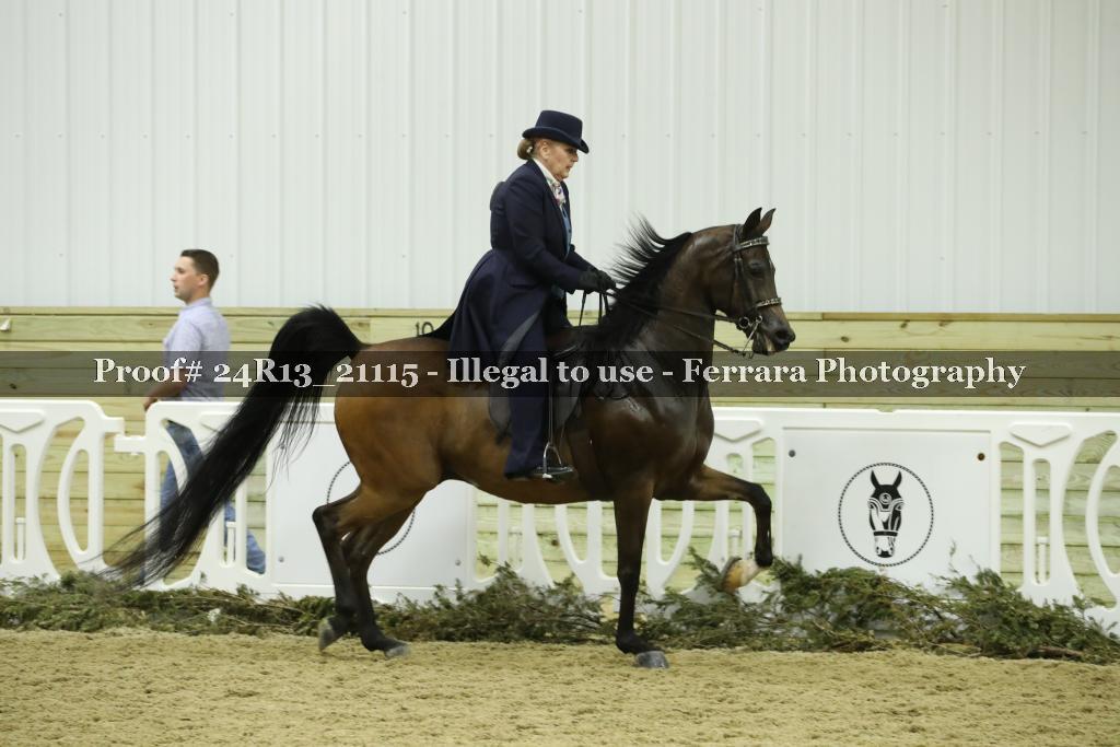 Proof 24R13_21115