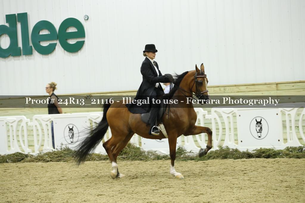 Proof 24R13_21116