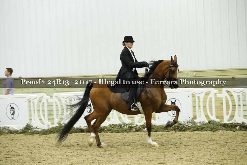 Proof 24R13_21117