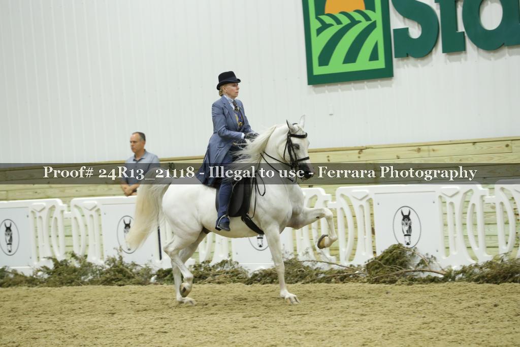 Proof 24R13_21118