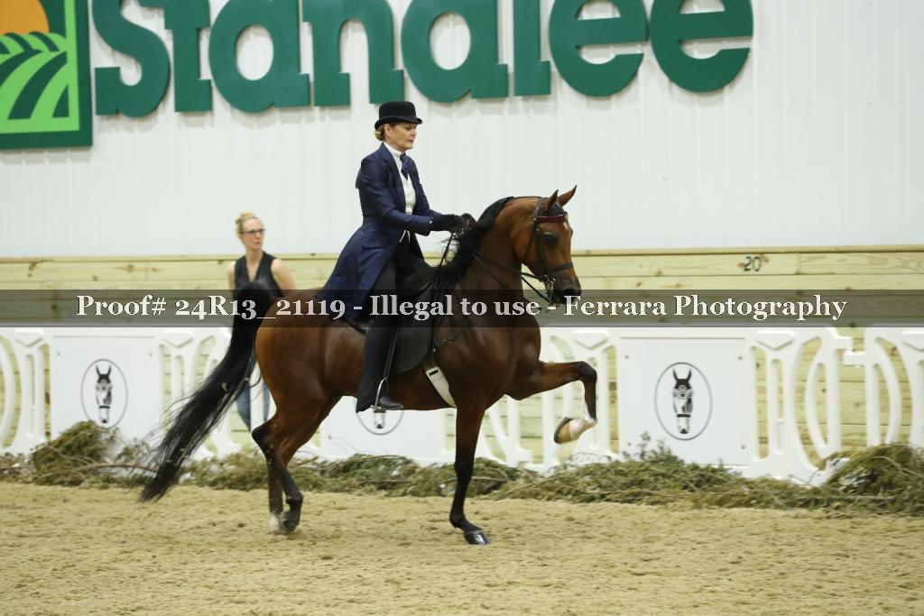 Proof 24R13_21119
