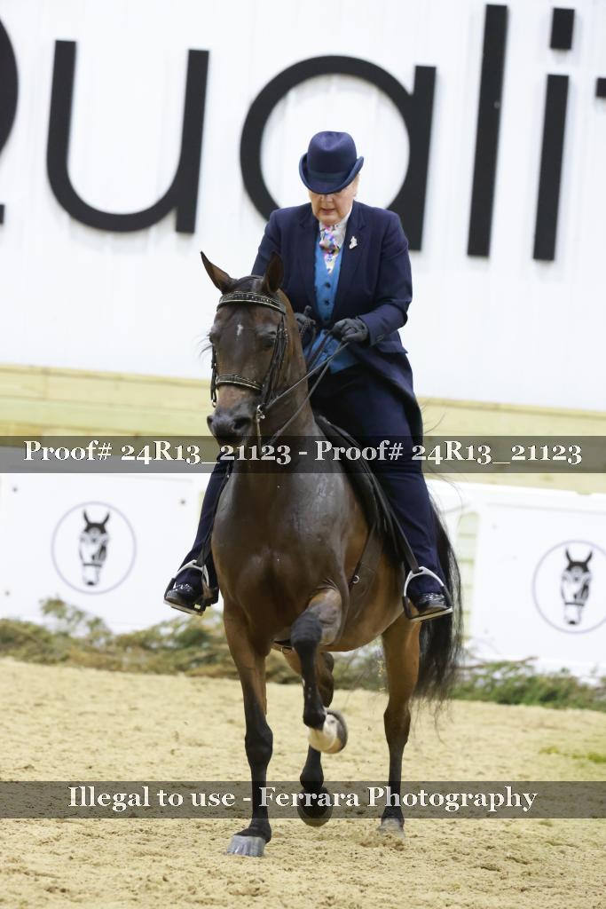 Proof 24R13_21123