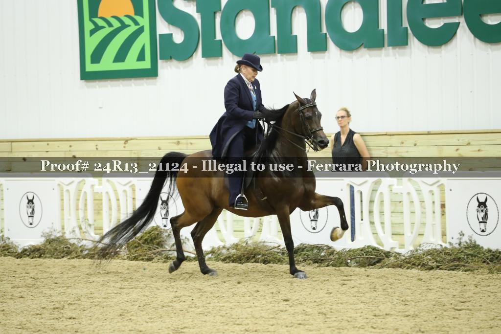 Proof 24R13_21124