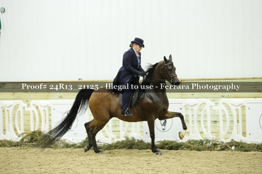 Proof 24R13_21125