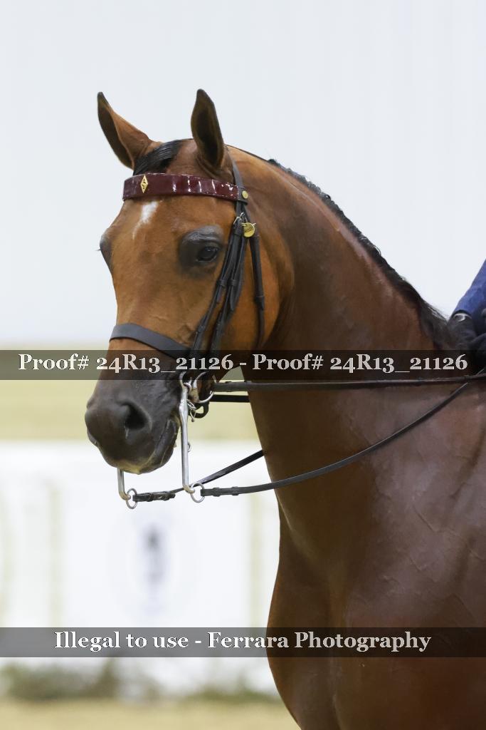 Proof 24R13_21126