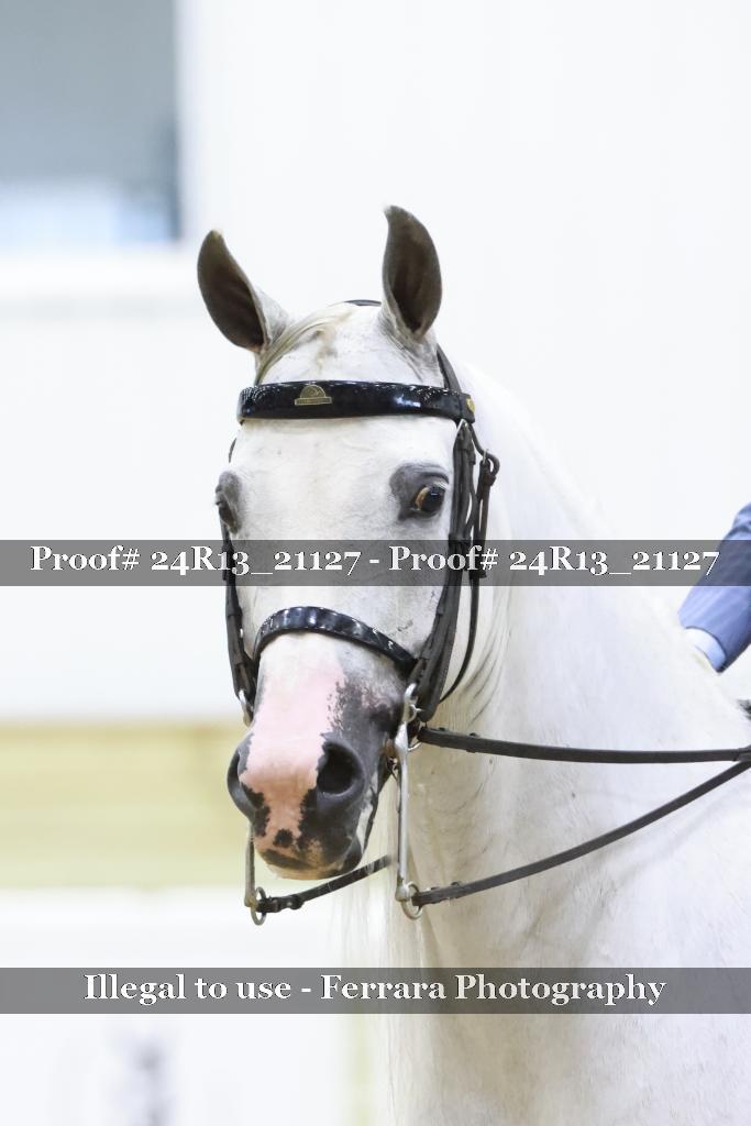 Proof 24R13_21127