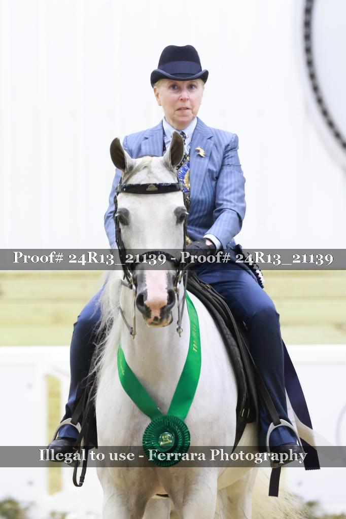 Proof 24R13_21139
