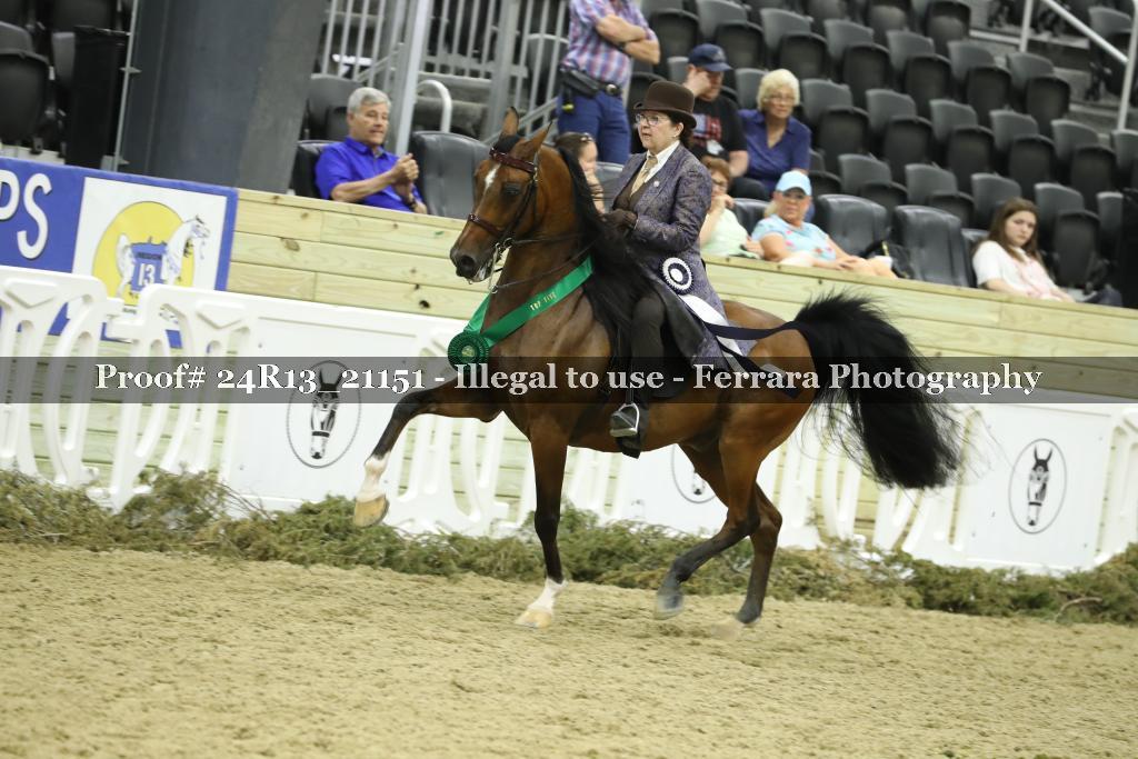 Proof 24R13_21151