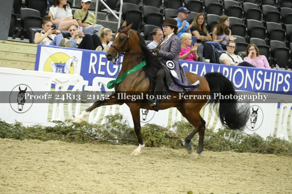 Proof 24R13_21152
