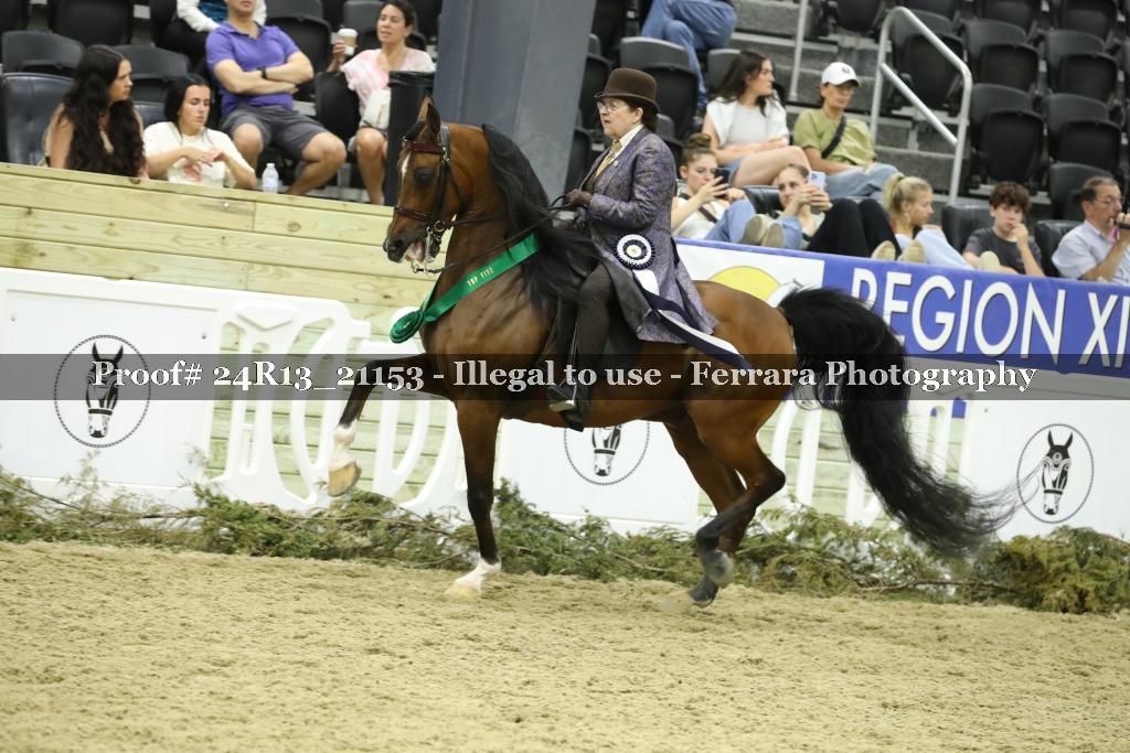 Proof 24R13_21153