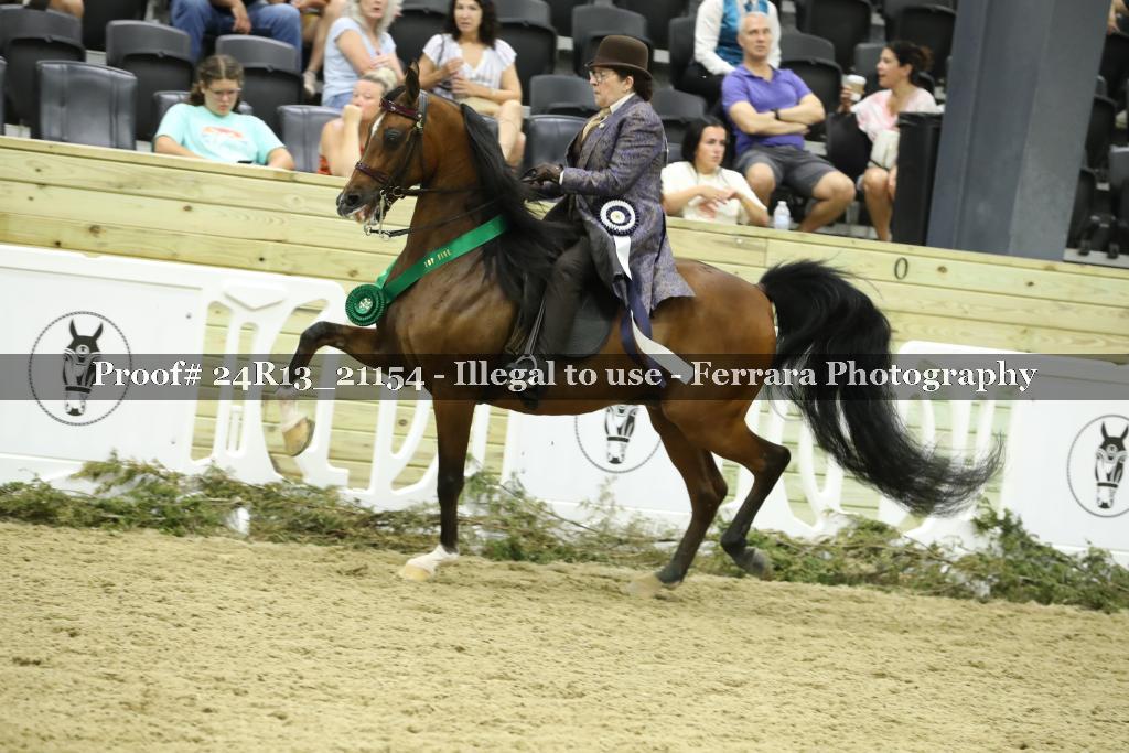 Proof 24R13_21154