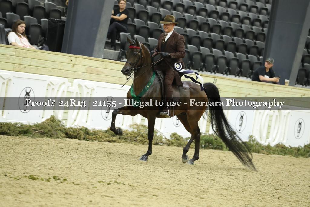 Proof 24R13_21155