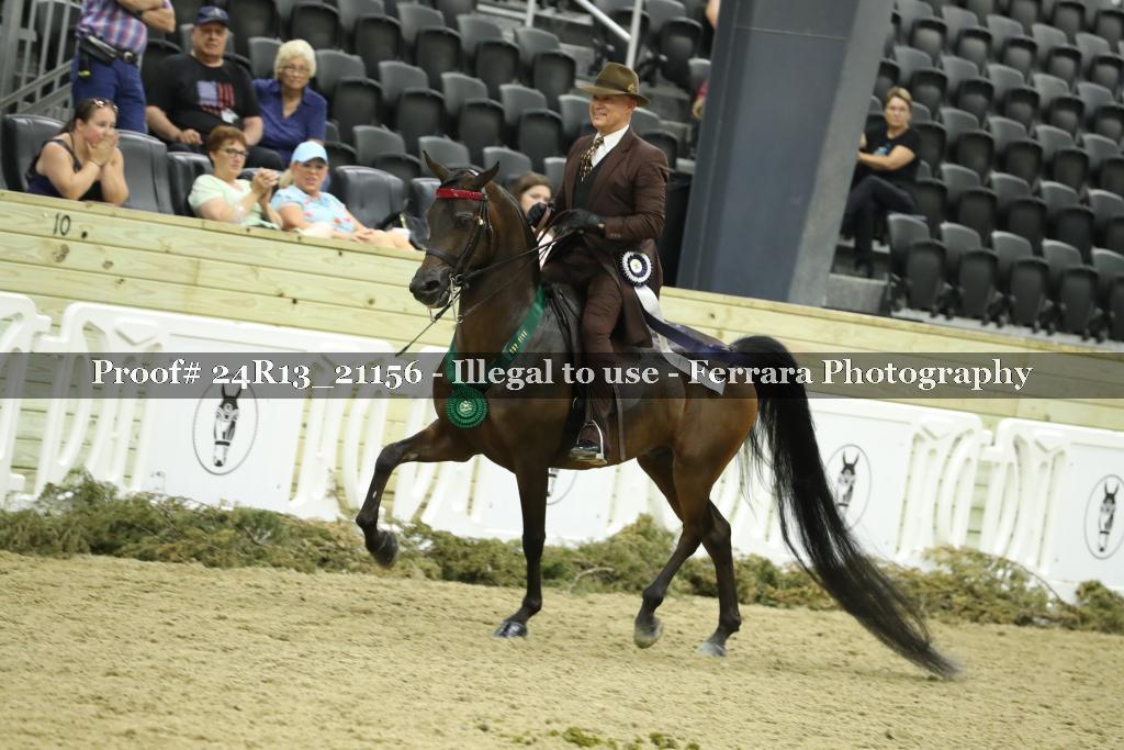 Proof 24R13_21156